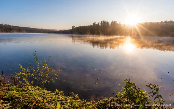 Sonnenaufgang am Hevesee im Naturpark Arnsberger Wald.