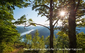 Blick über den Diemelsee vom St. Muffert aus.