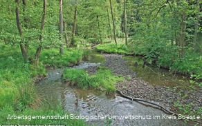 Arnsberger Wald, Heve