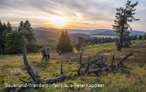 Willingen Hochheide