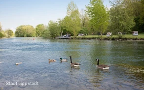 Fotorechte Stadt Lippstadt/ Sandra Püttman