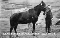 Mann mit Pferd auf der Straße "Auf der Mauer".