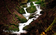 Naturschutzgebiet Bommecketal