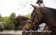 Reiten im Schmallenberger Sauerland und der Ferienregion Eslohe