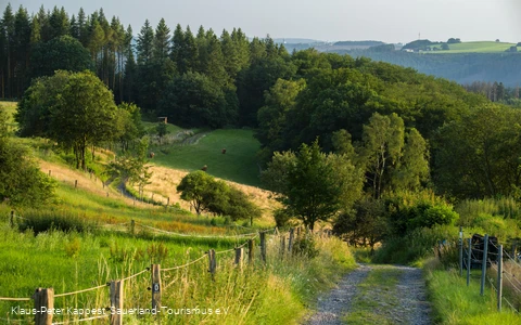 Weg zwischen Altena und Hegenscheid