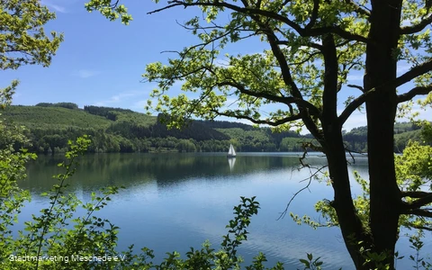 Hennesee