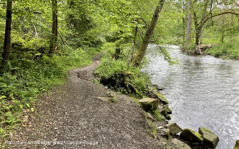 Fluss im Hönnetal 