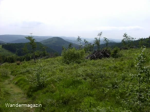 Hochheidelandschaft am Kahlen Asten