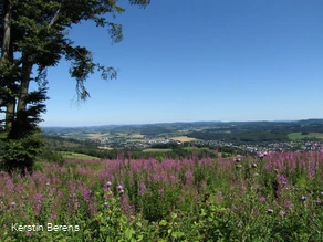 Blick auf Neuenrade