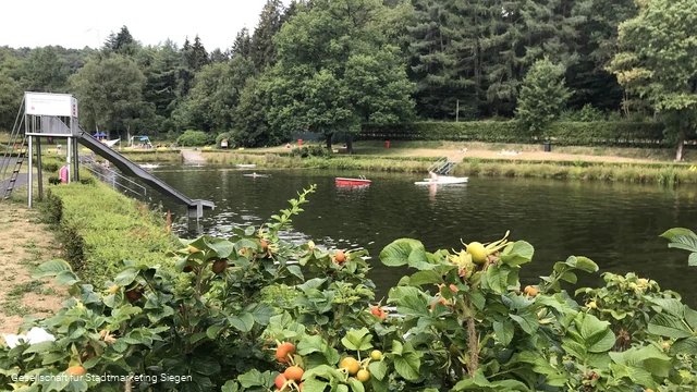 Naturfreibad Seelbacher Weiher