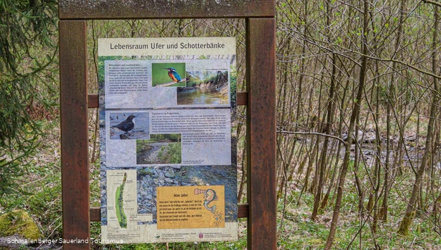 Infotafel Lebenraum Ufer und Schötterbänke