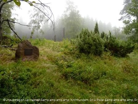 Wacholderheide Vorspanneiche