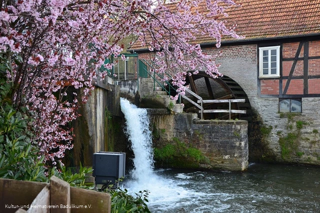 Historisches Ensemble Stütings Mühle