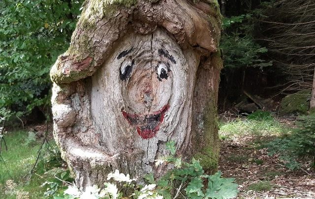 Waldbaden Kierspe Birgit Kurze