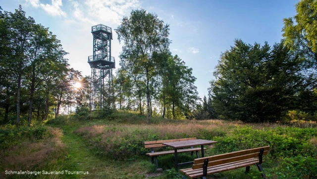 Turm auf dem Wilzenberg