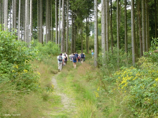 Glockenpfad zum Rothaarsteig