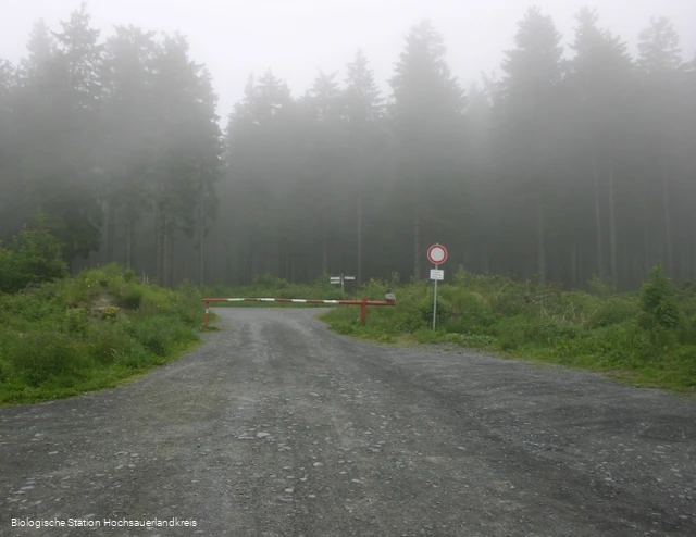 Parkplatz Niedersfelder Hochheide