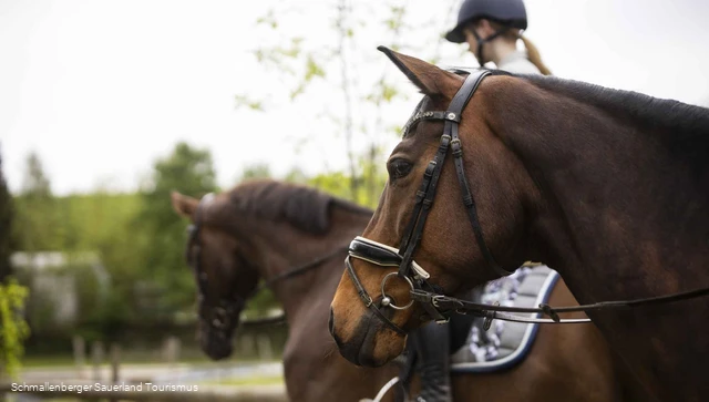 Reiten im Schmallenberger Sauerland und der Ferienregion Eslohe