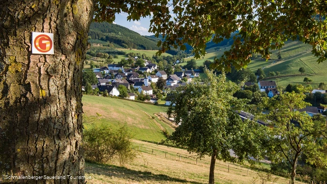 Bienenlehrpfad auf der Golddorf-Route Oberhenneborn