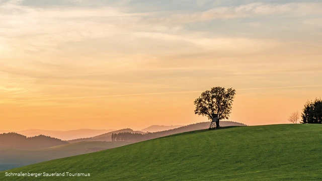 Landschaftspanorama auf dem Hömberg oberhalb von Oberhenneborn