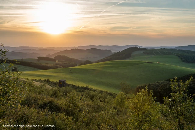 Hömberg-Panorama im Abendlicht