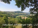 Rittersprung Marsberg an der Sauerland-Waldroute